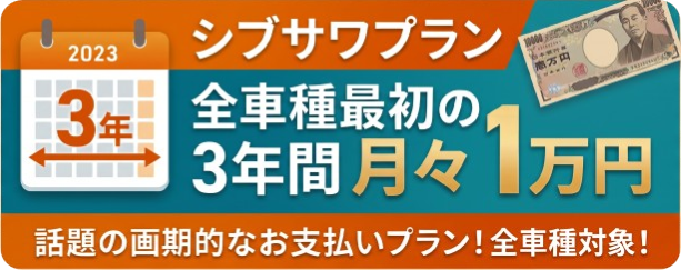 シブサワプランバナー